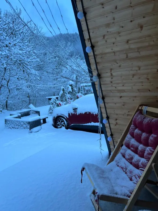 Hillside Borjomi Two chalet