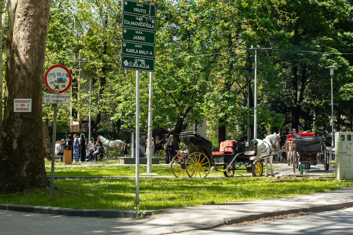 Ilidza Park King Studio