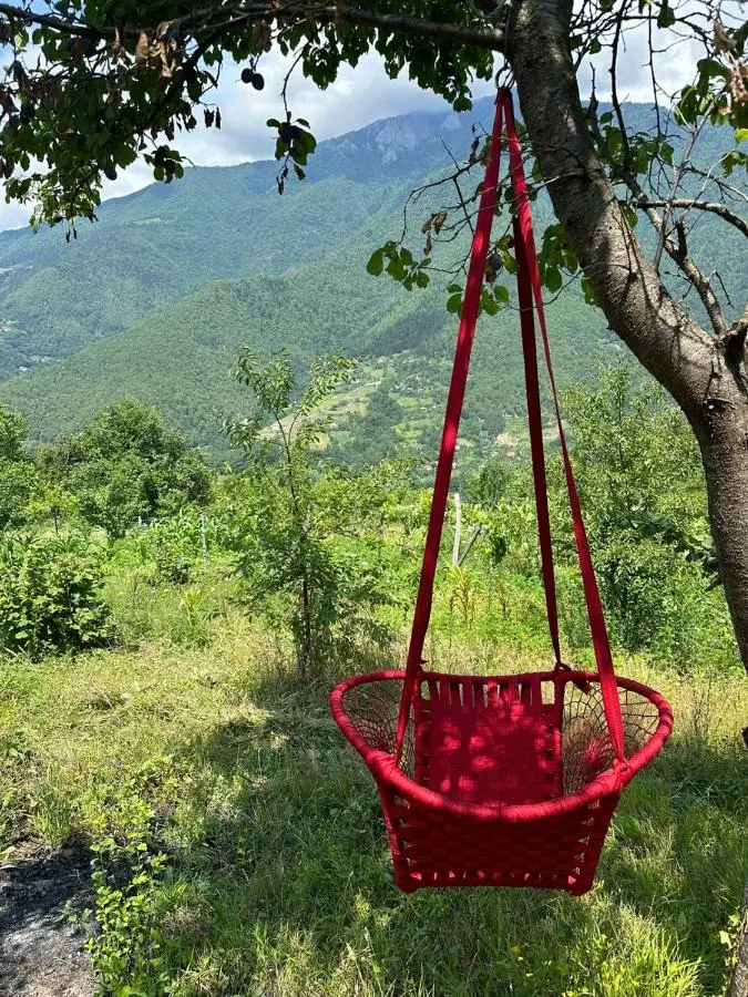 Paradise Keda