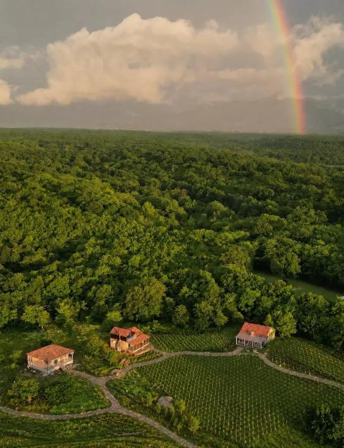 Chateau Vartsikhe