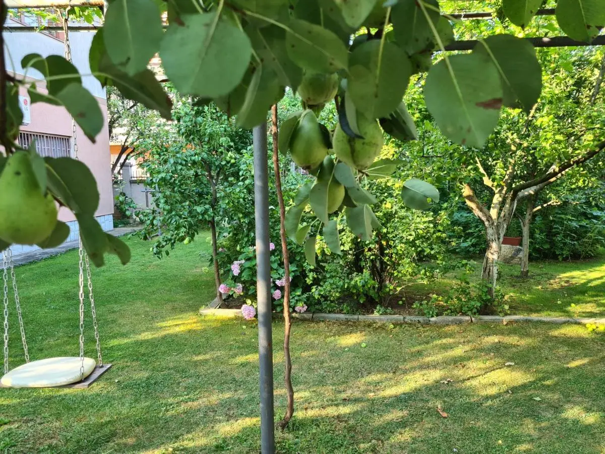 Apartman Nedim - Free Parking & Garden near Airport