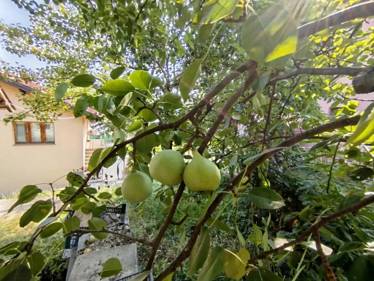 Sarajevo Green Garden
