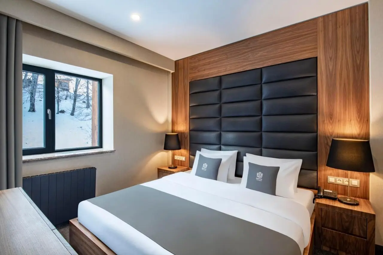 Bristol Hotel and Spa Bakuriani