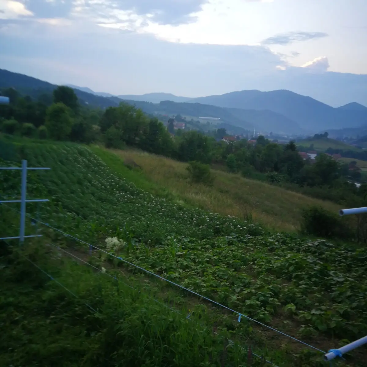 Green Idylle-PYramide View