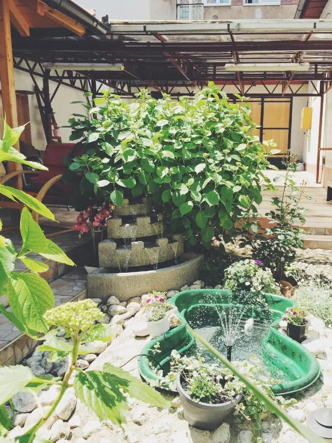 Guest house Nizama's Place