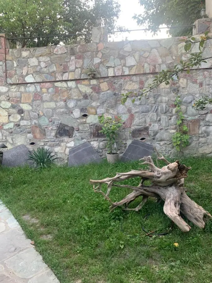 Panorama ananuri guest house