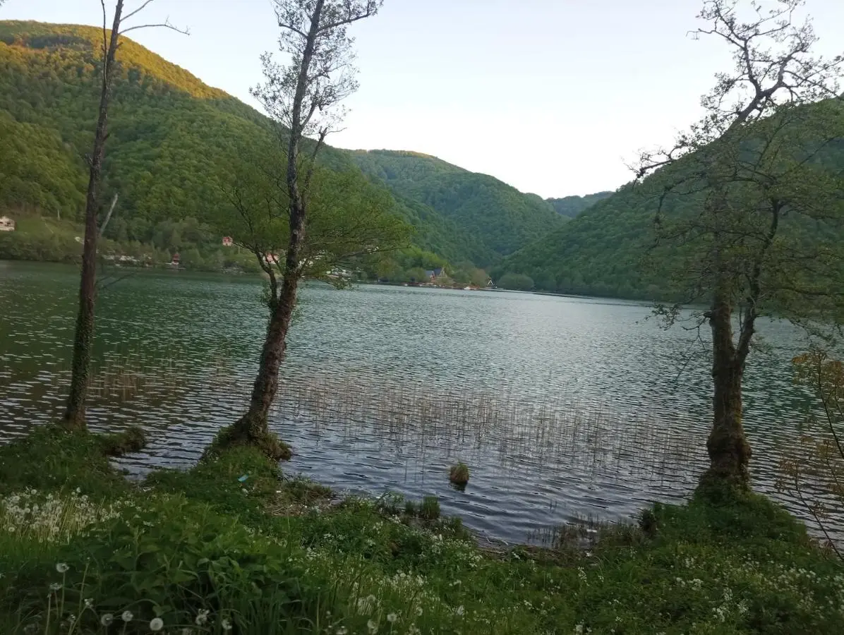 Brvnara Pliva 20m jezero rostilj Relax in Nature