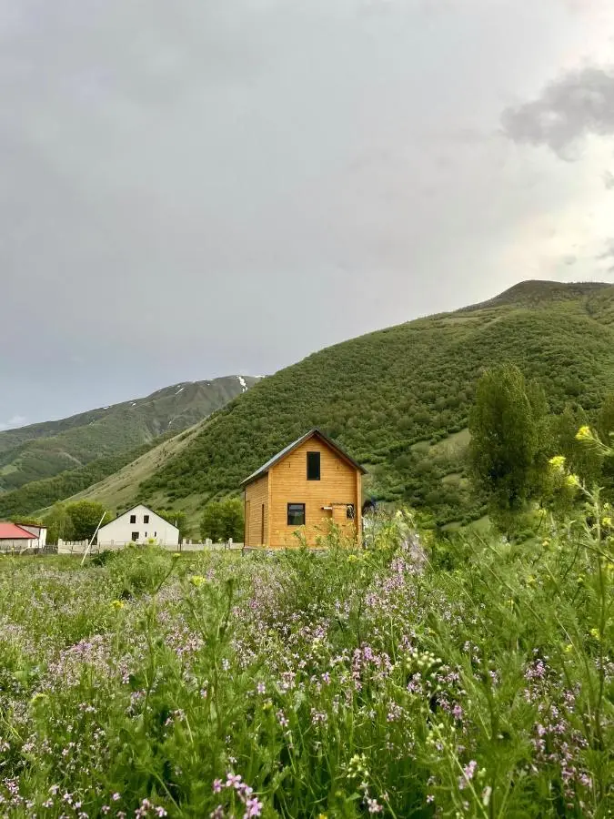 M&M House Kazbegi