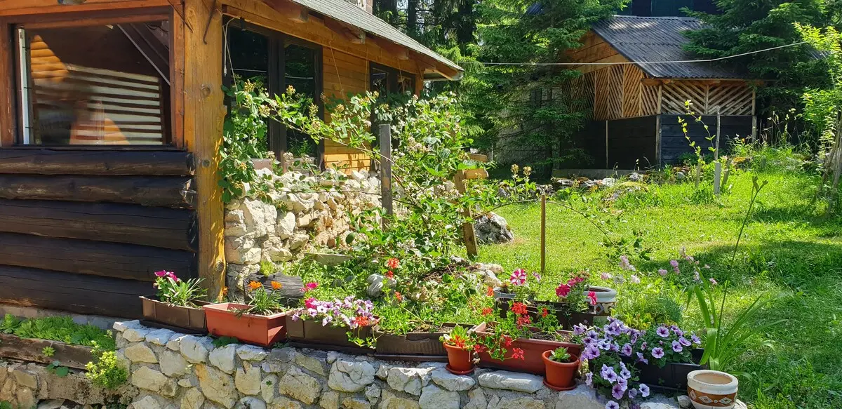 Villa Dream House Vlasic
