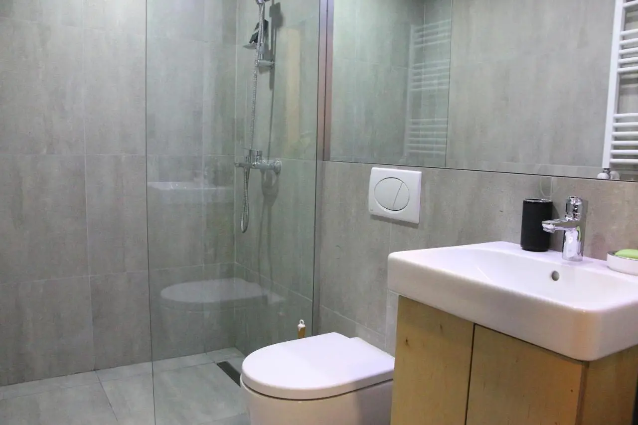 ski-in/ski-out apartment in Bakuriani
