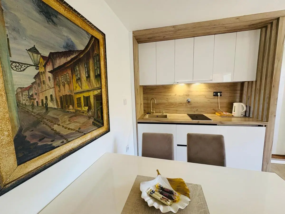 Apartment Irma free parking old town near Bascarsija