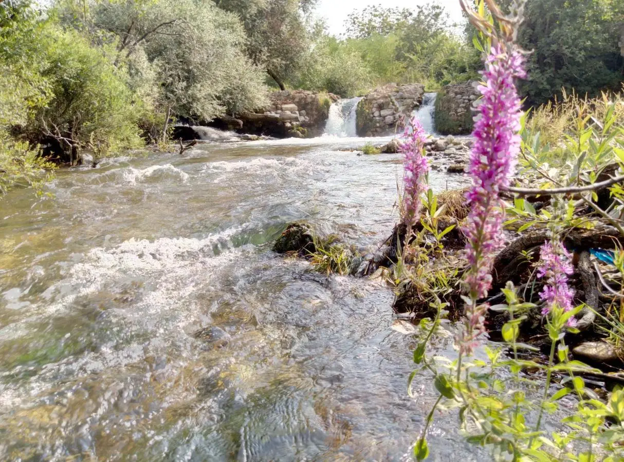 River House Buna