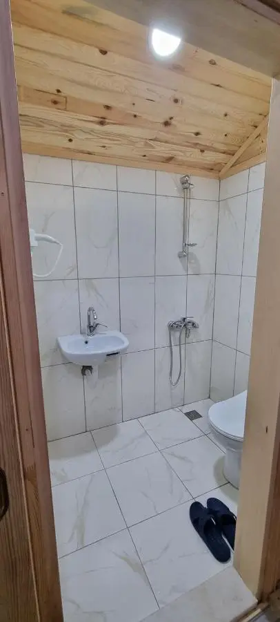 Aslan Dağ Evleri
