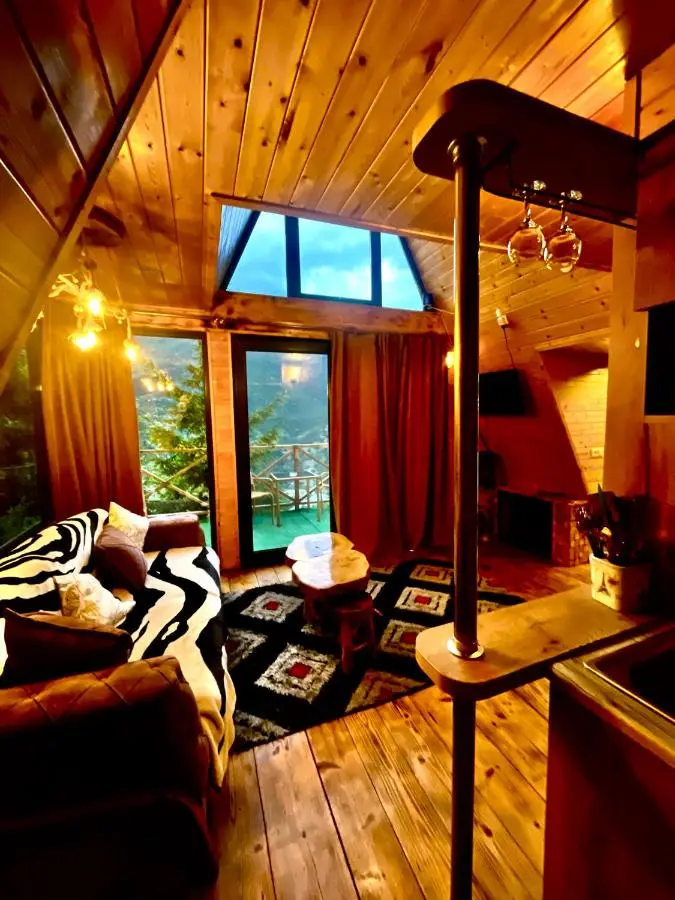 Forest House