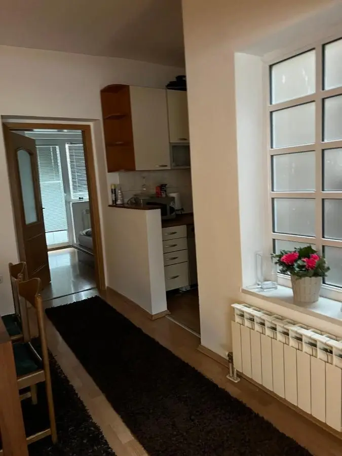 Homy apartment in city center Marijin Dvor