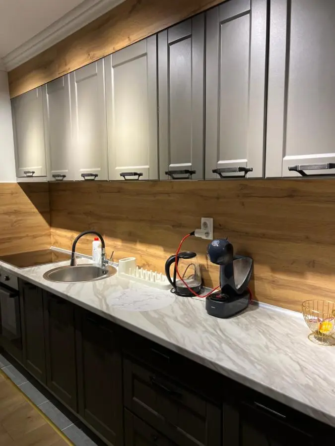 Luxury apartment Ema