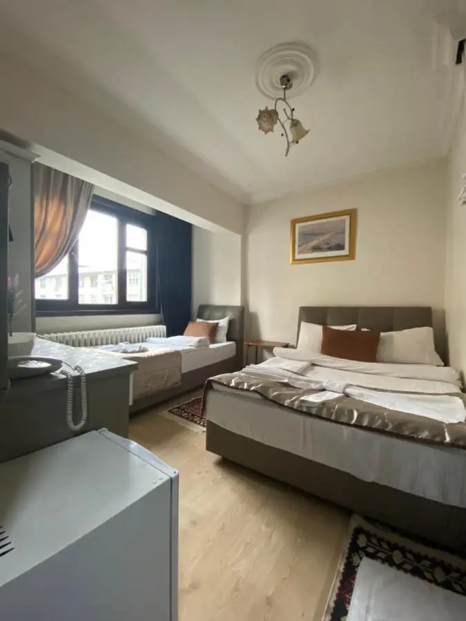 Hotel Kent Ani