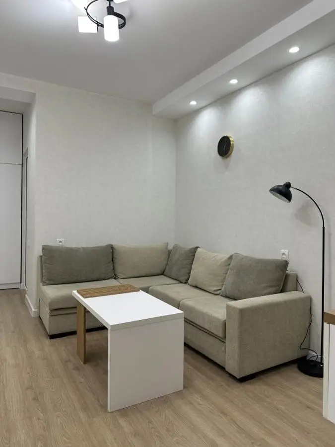 Modern apartment in Borjomi