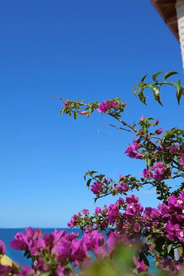 El Mare Hotel