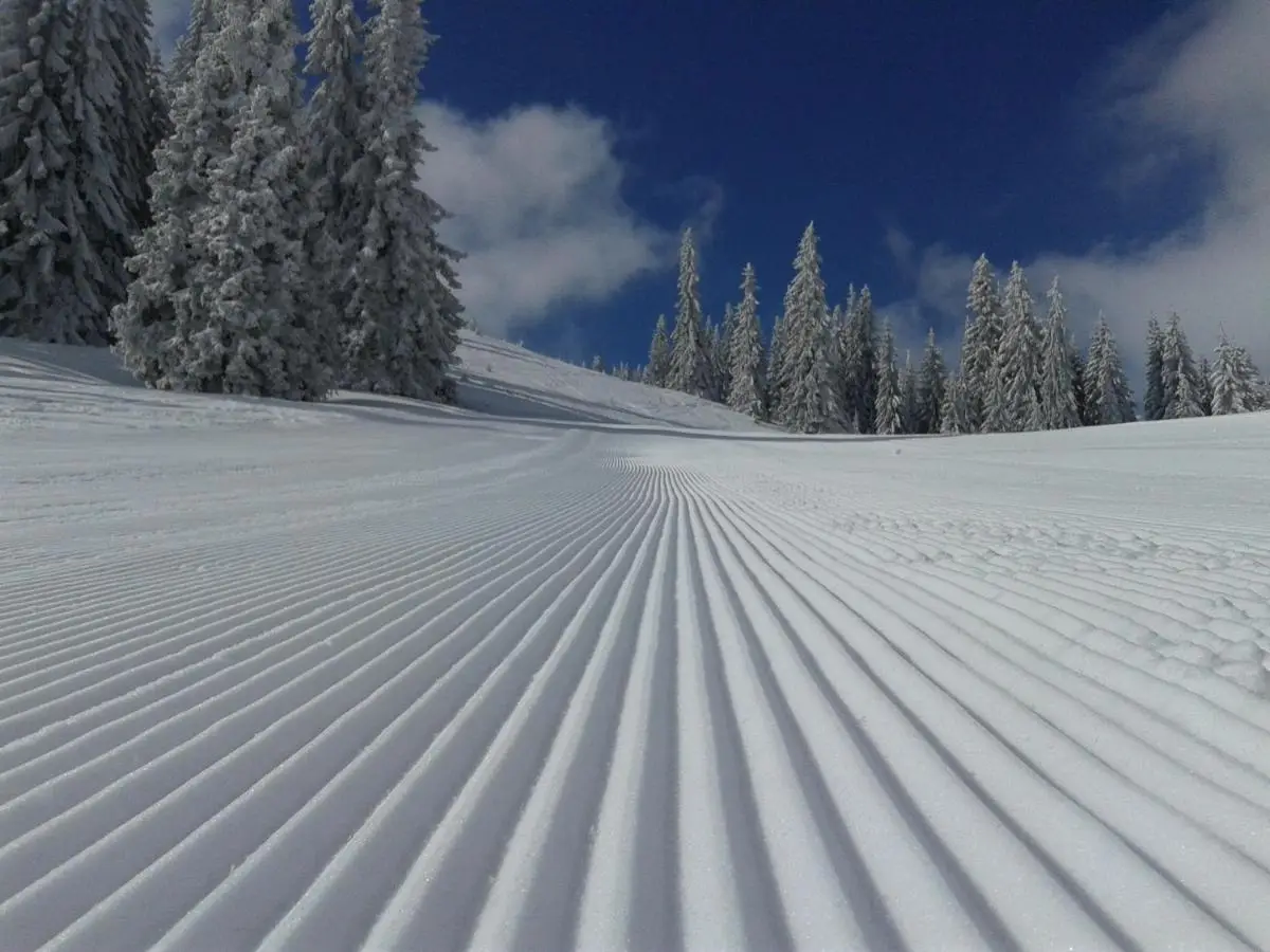 Vikendica Zlatna Žita Jahorina