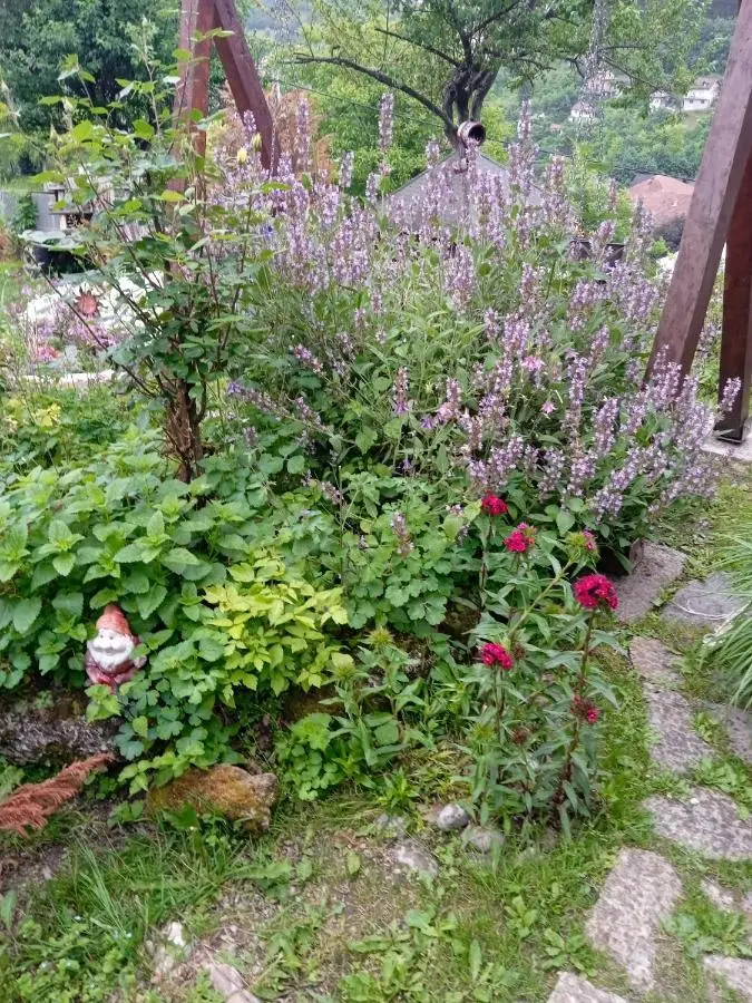 Privatni smještaj Kurtalija