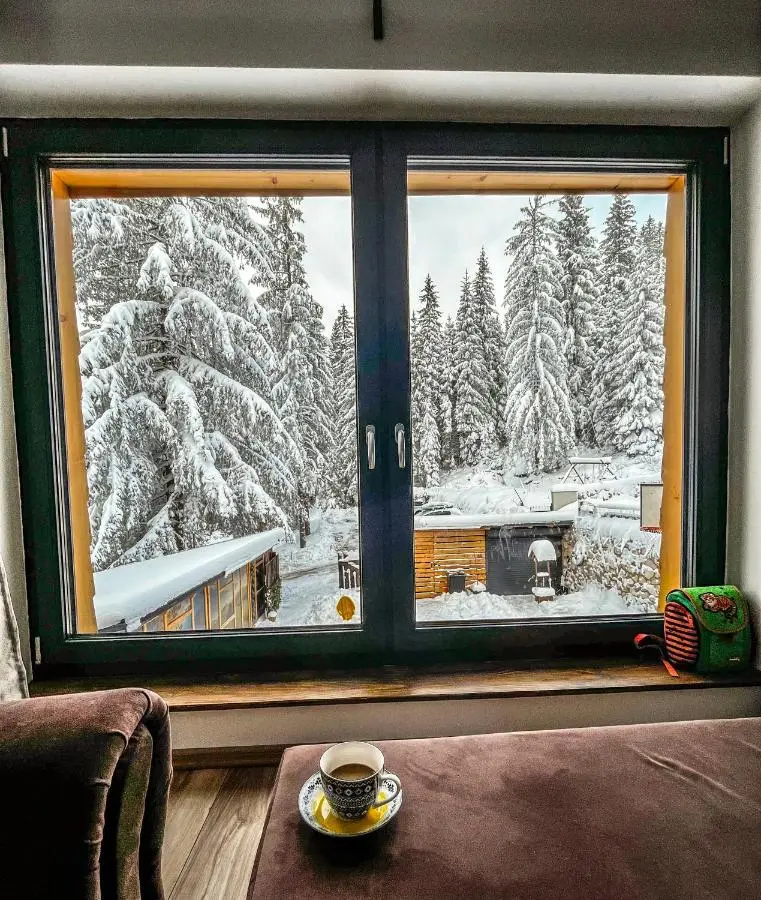 Vila Bašić Vlašić VUK Apartman