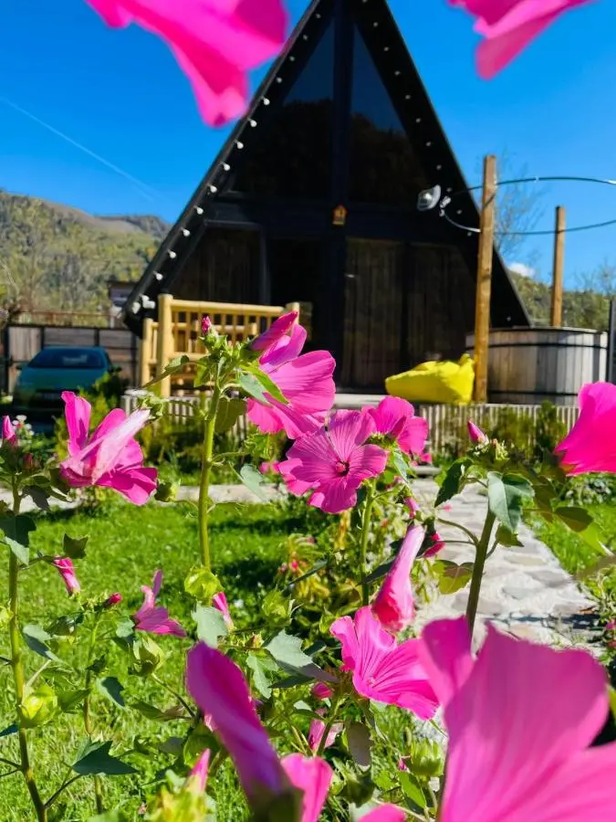Borjomi Story