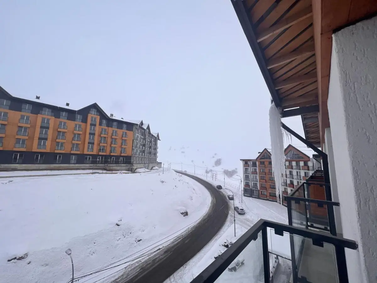 Winter Flat - Orange Ski