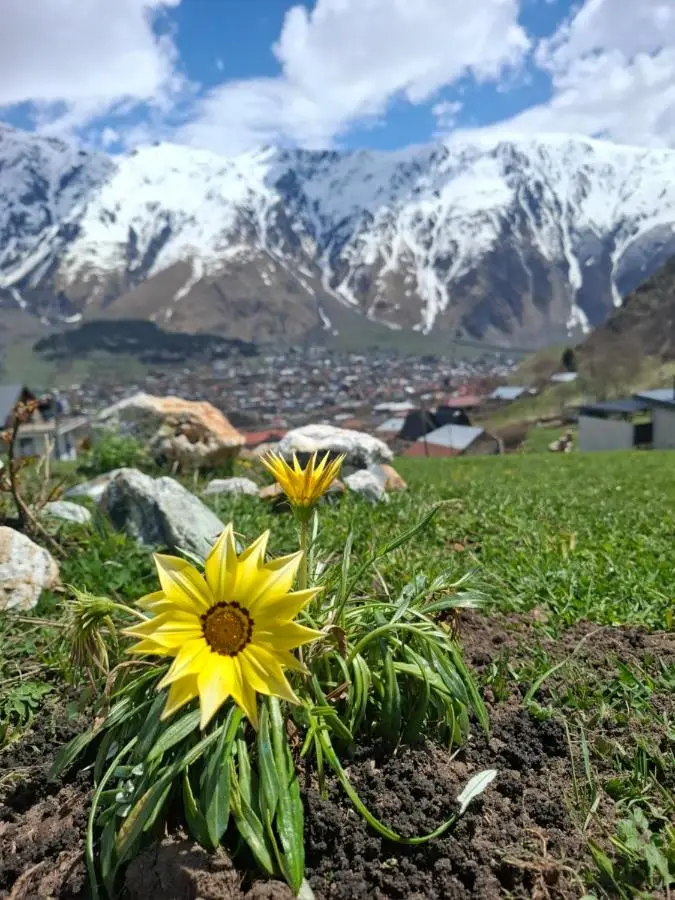 Cottage Mountain crystal kazbegi