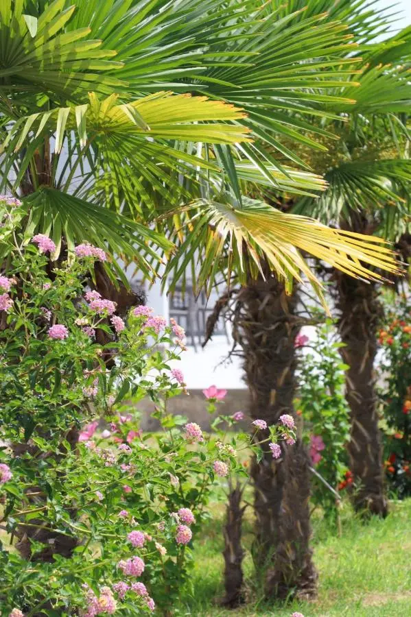 Hotel Velipoja Village