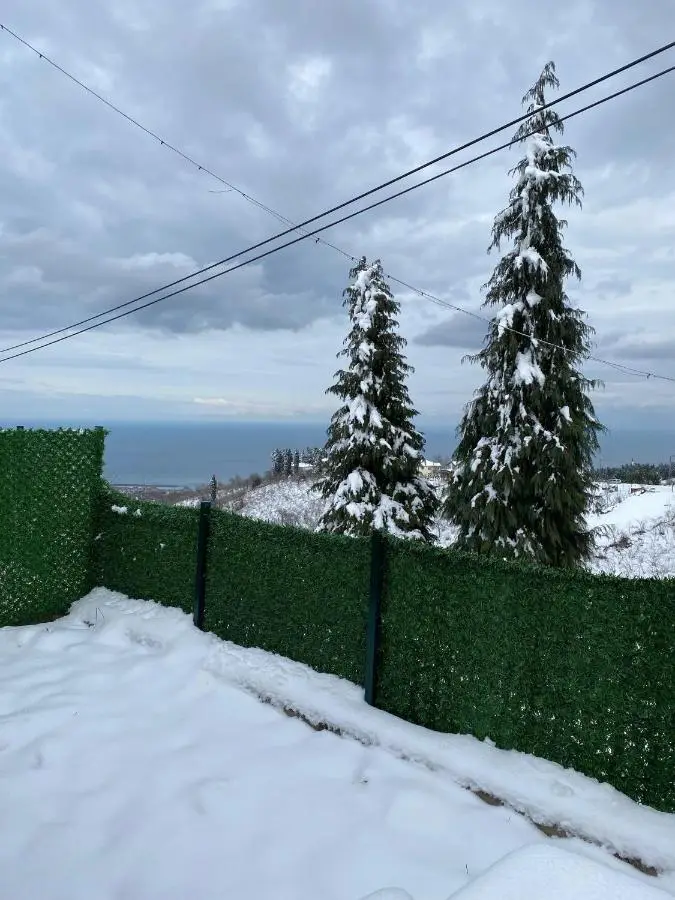 Mira Bungalov