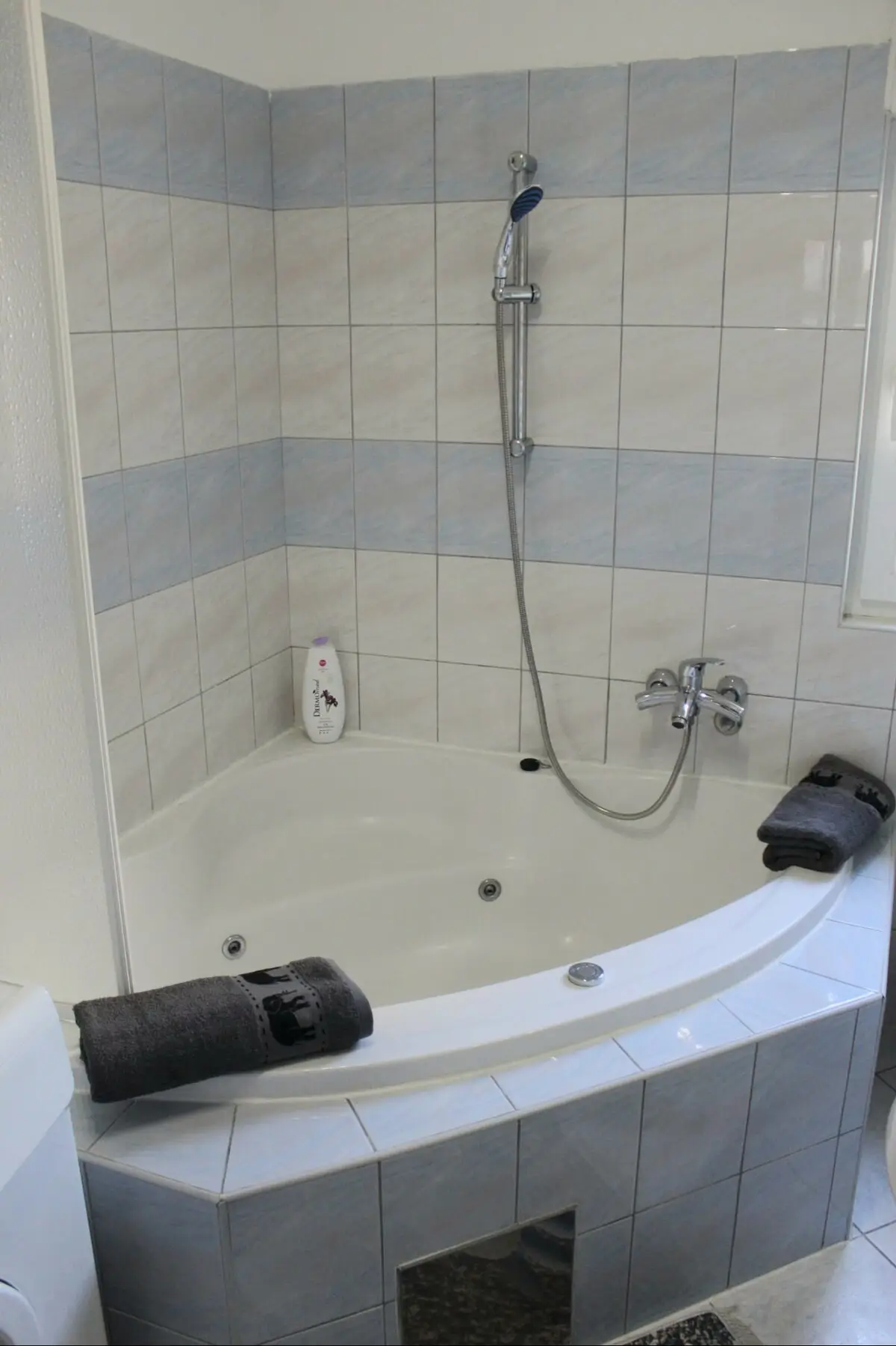 Mostar House