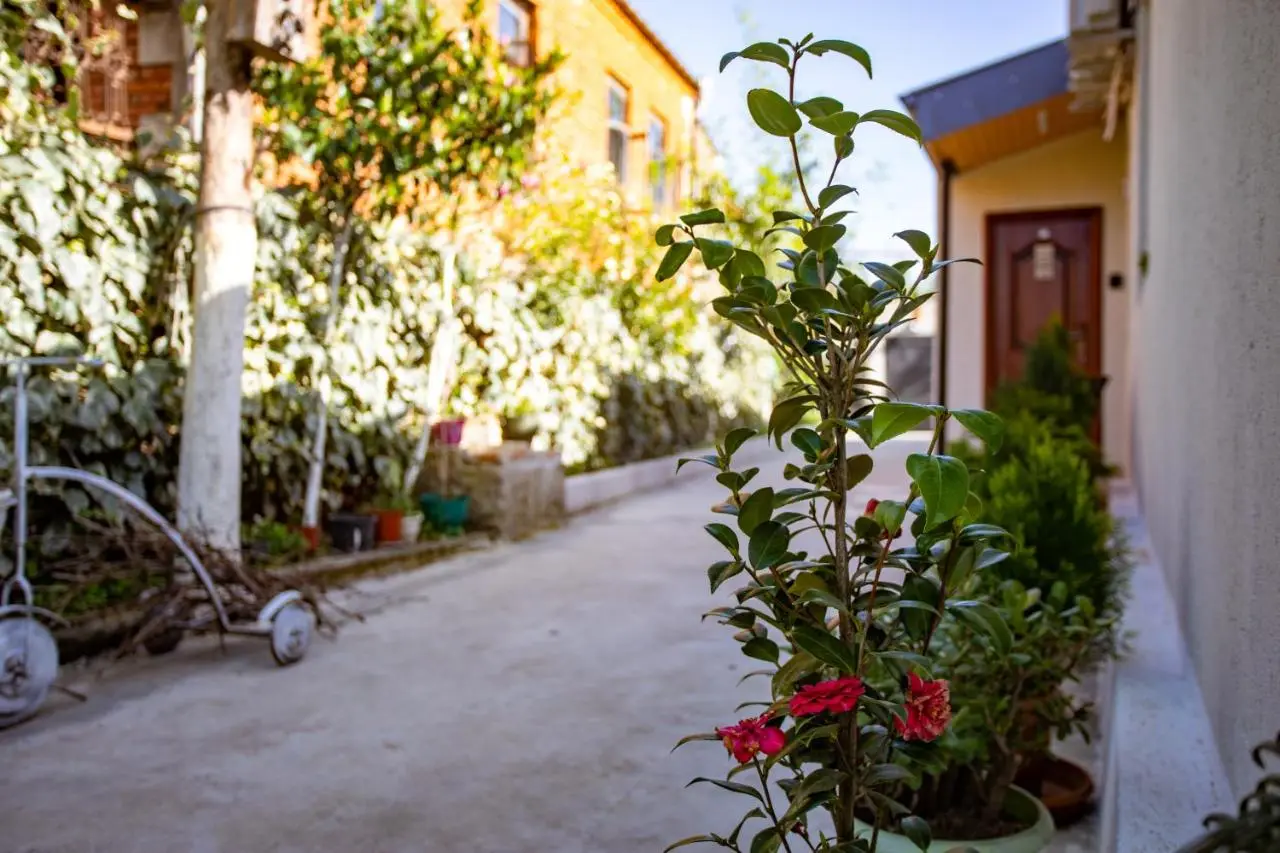 Guest House BALU