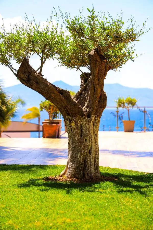 Hotel Apollon Sarande