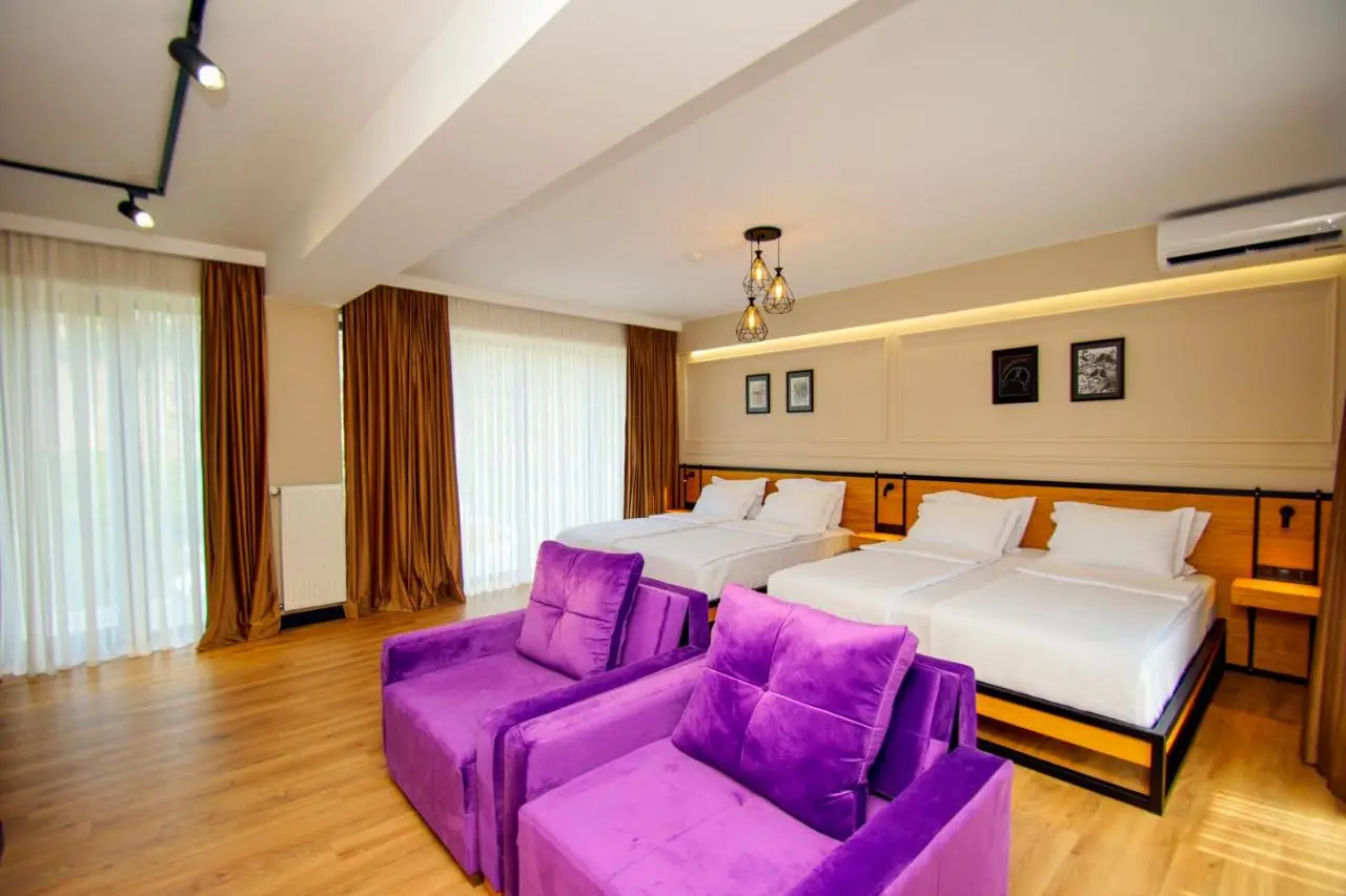 Borjomi Bridge Hotel