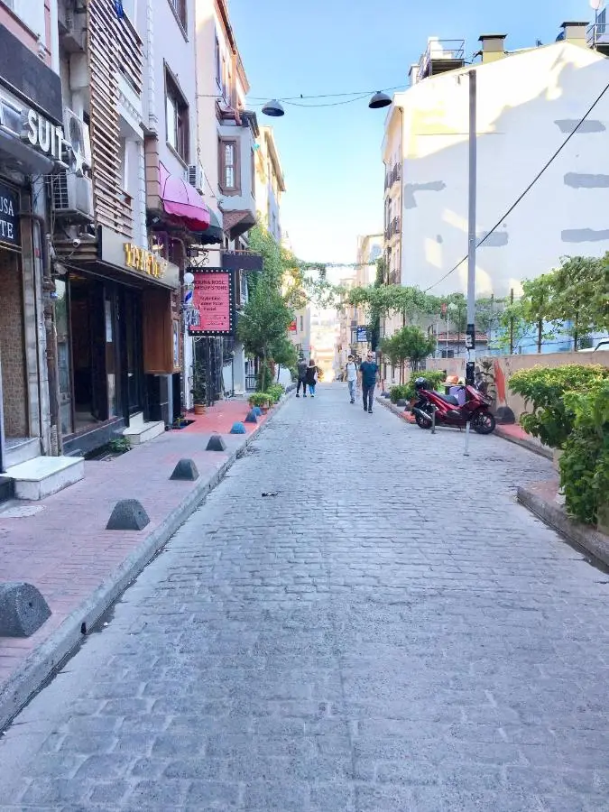 Taksim Roya Apartment -center of the Istanbul