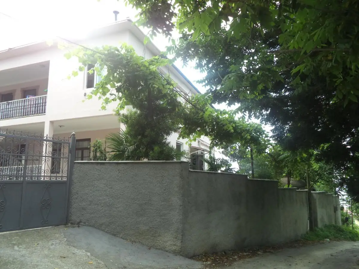 Maiko's House