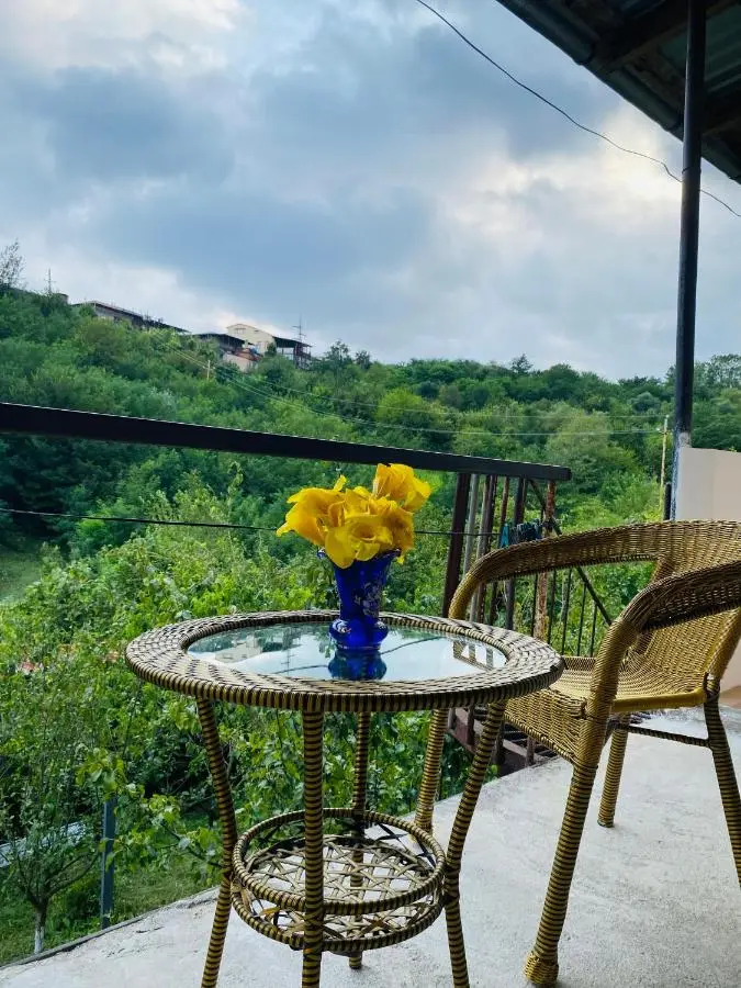 Guesthouse Hill Side
