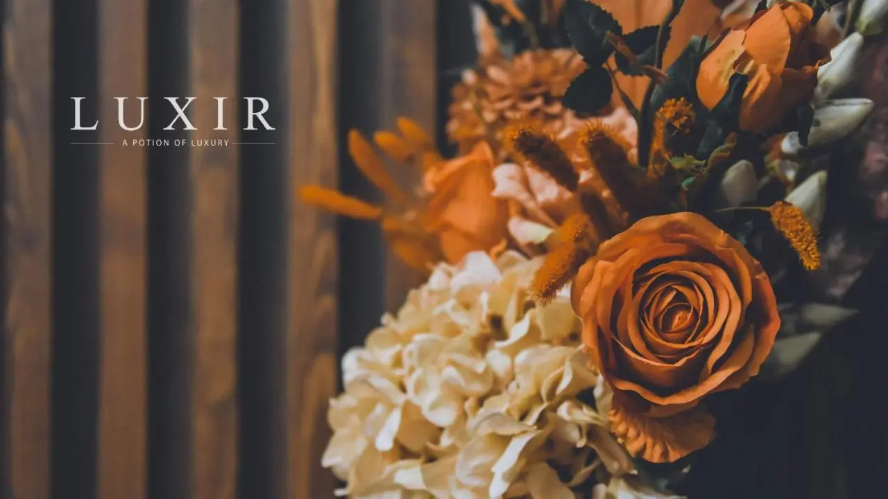 LUXIR HOTEL