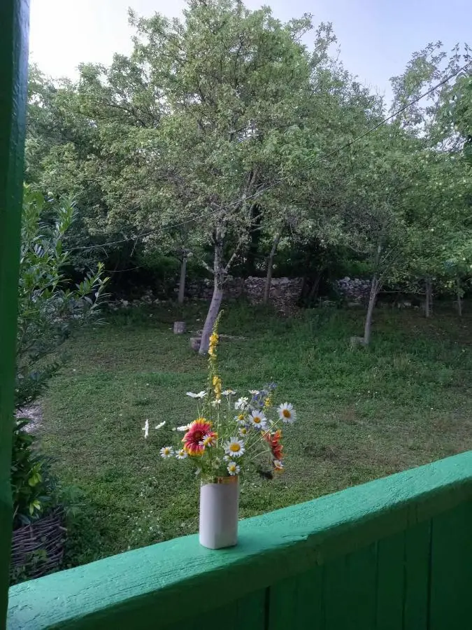 Guest House Guliada