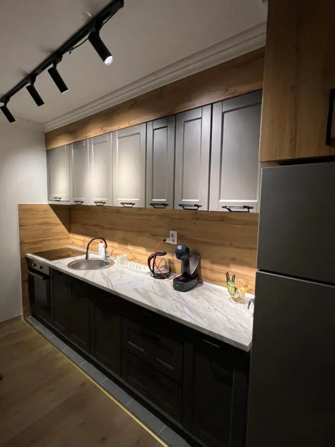 Luxury apartment Ema