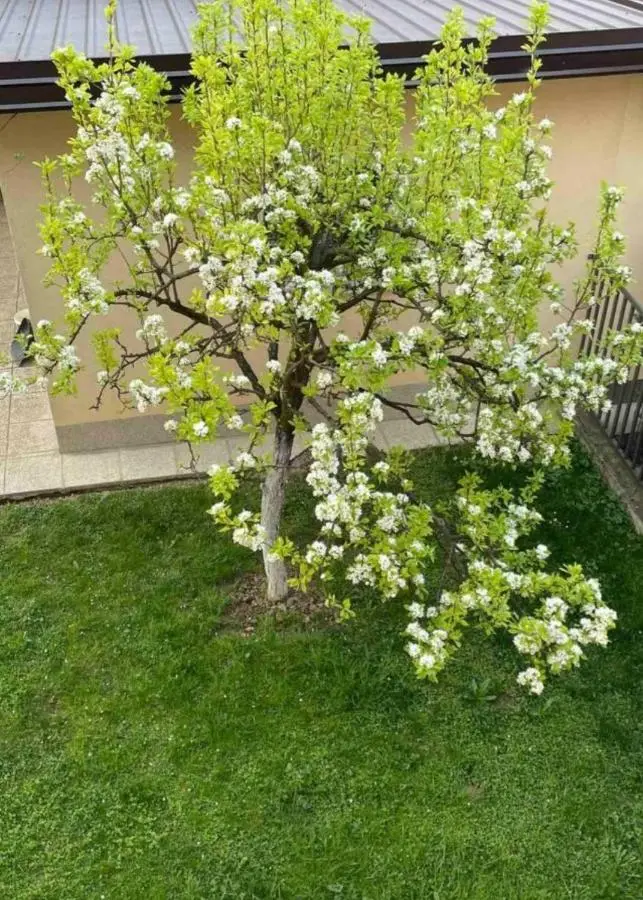 APARTMAN SARAJEVO DVOKREVETNI-dvije osobe
