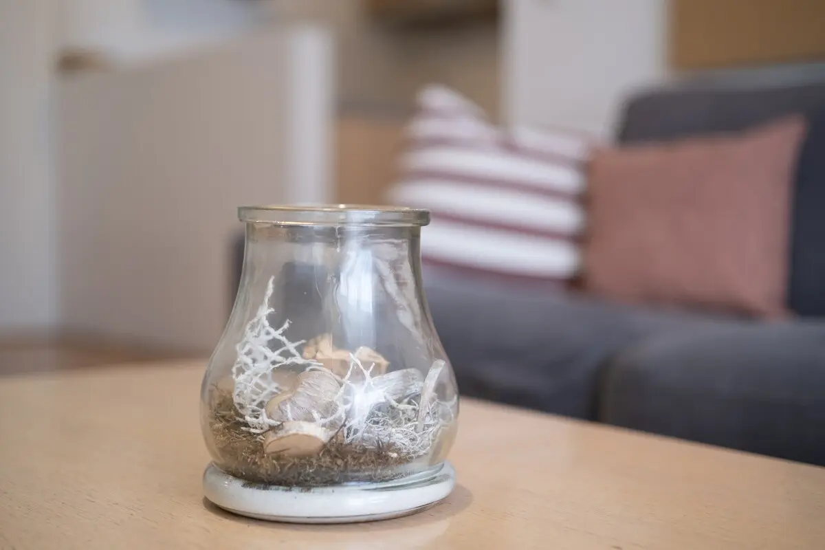 Festina Lente Home
