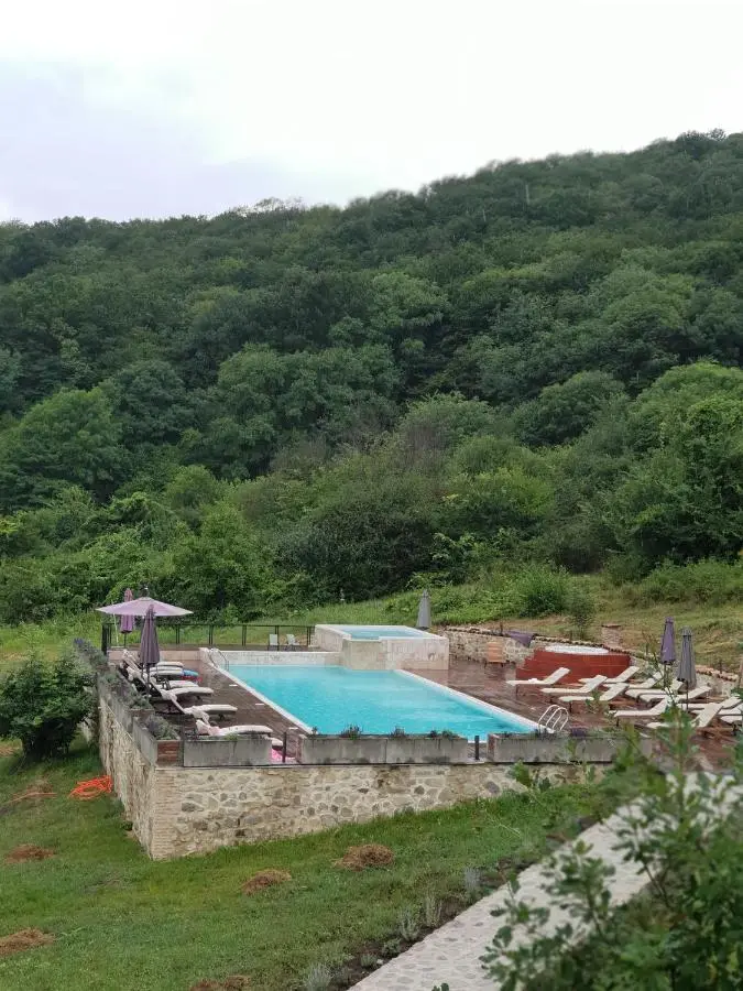 Babaneuris Marani