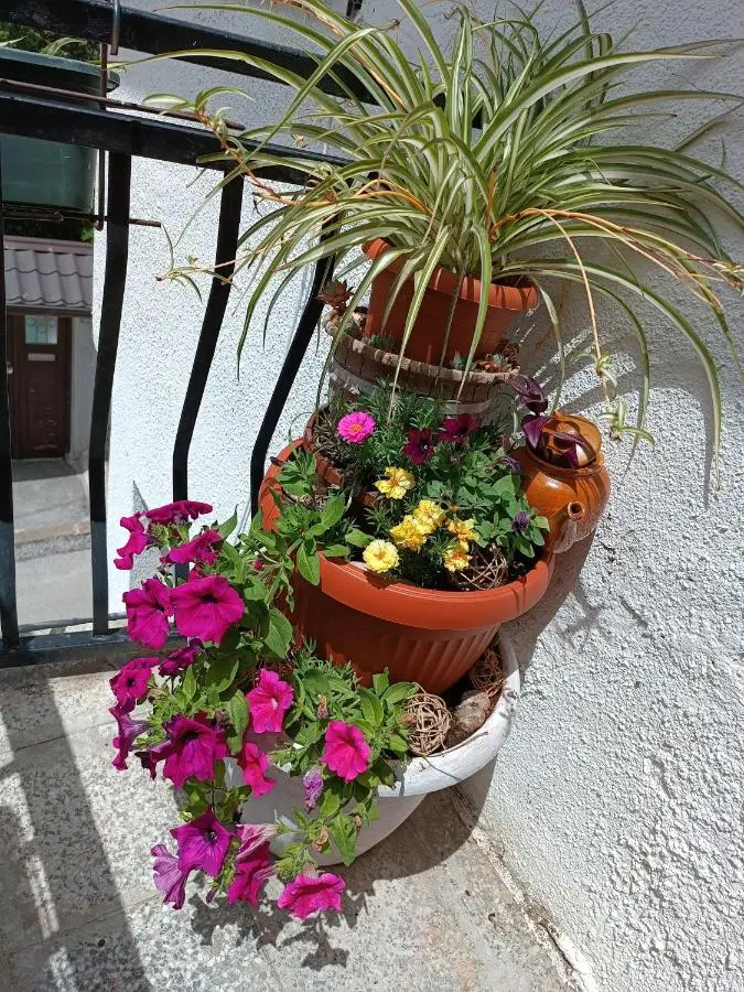Apartman Ohren