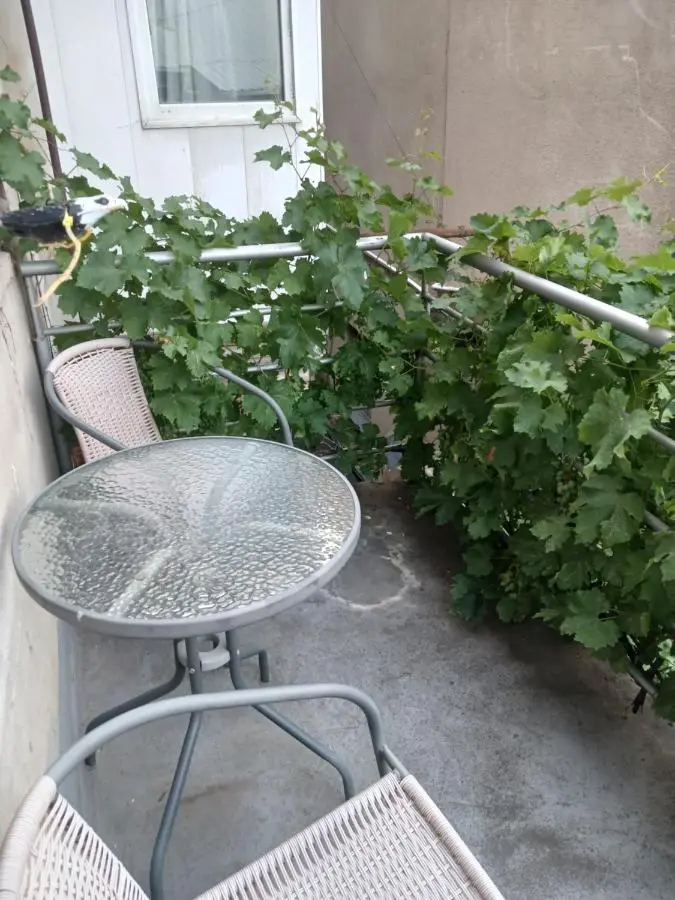 Hotel White Neptun Georgia Tbilisi