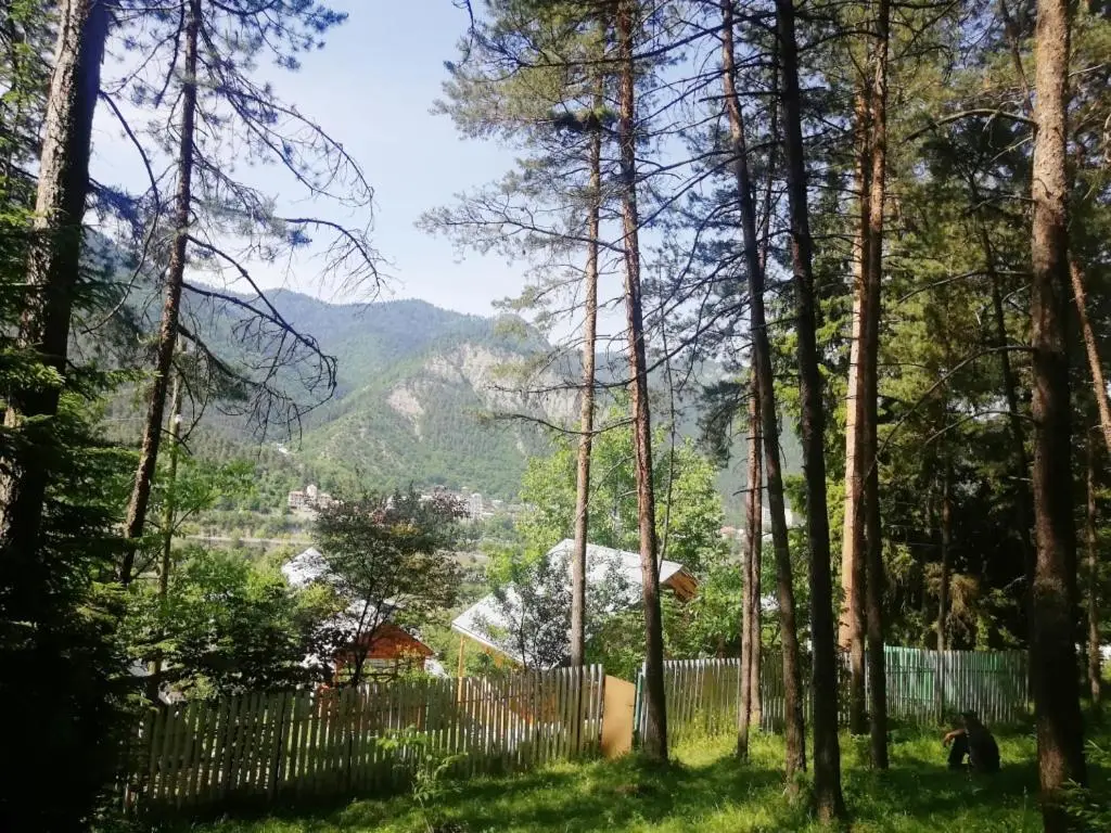 Guest House Ilia