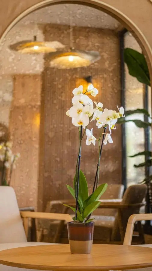 Heritage by Cimen Hotel