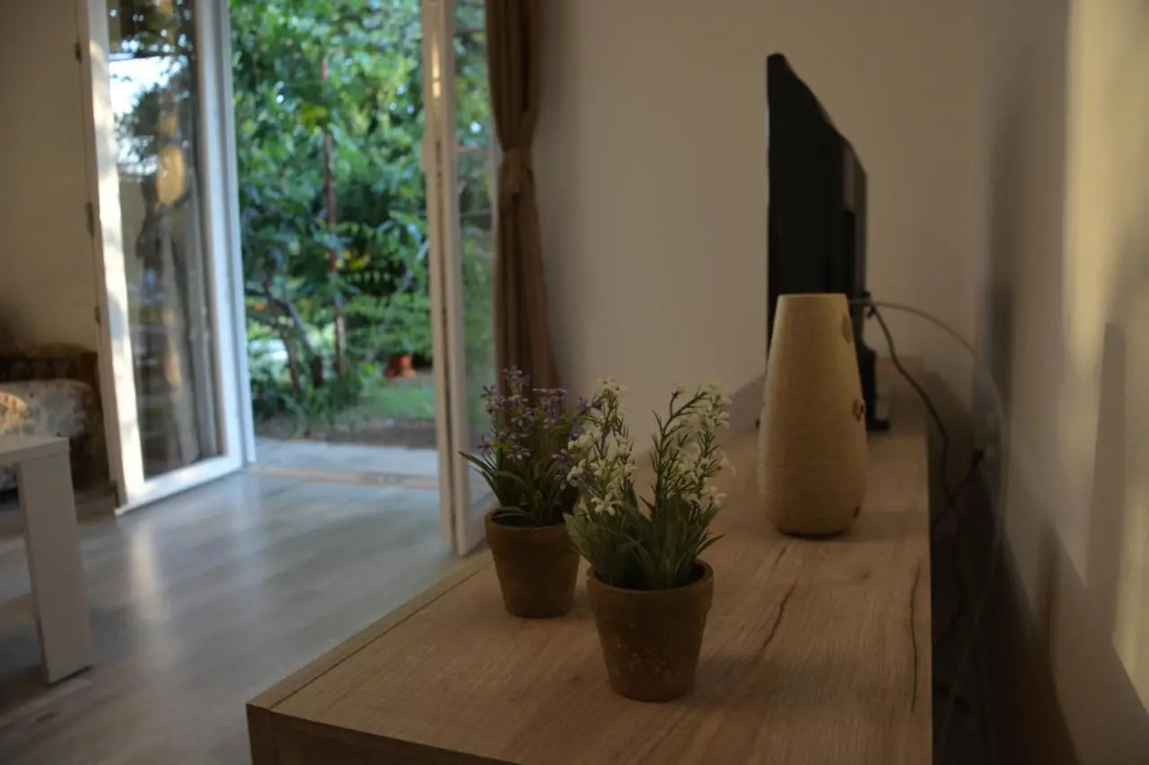 City View Apartment
