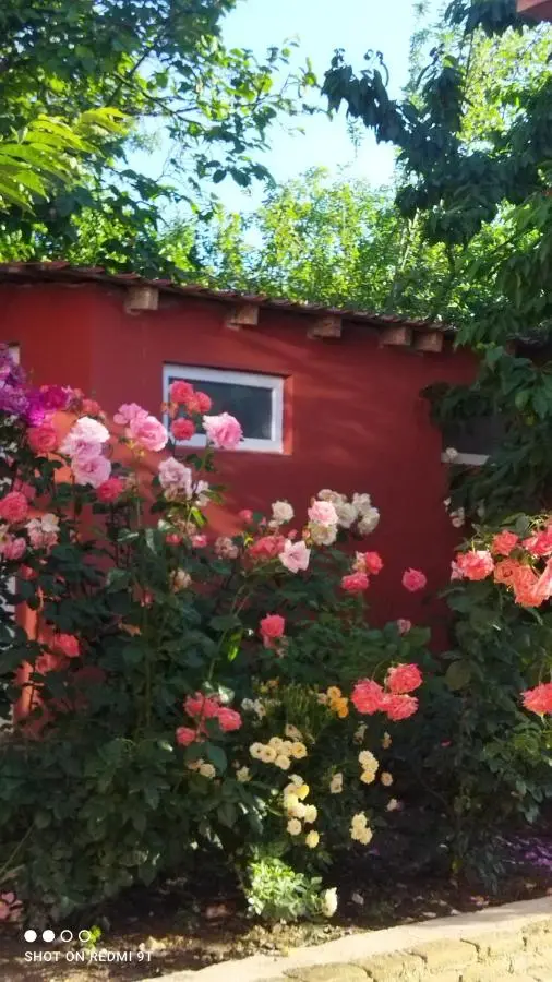 Quba Guest House